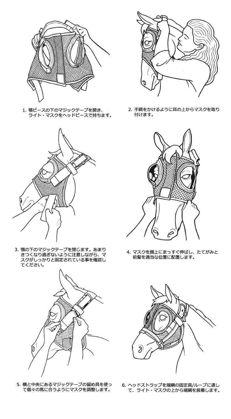 How to fit